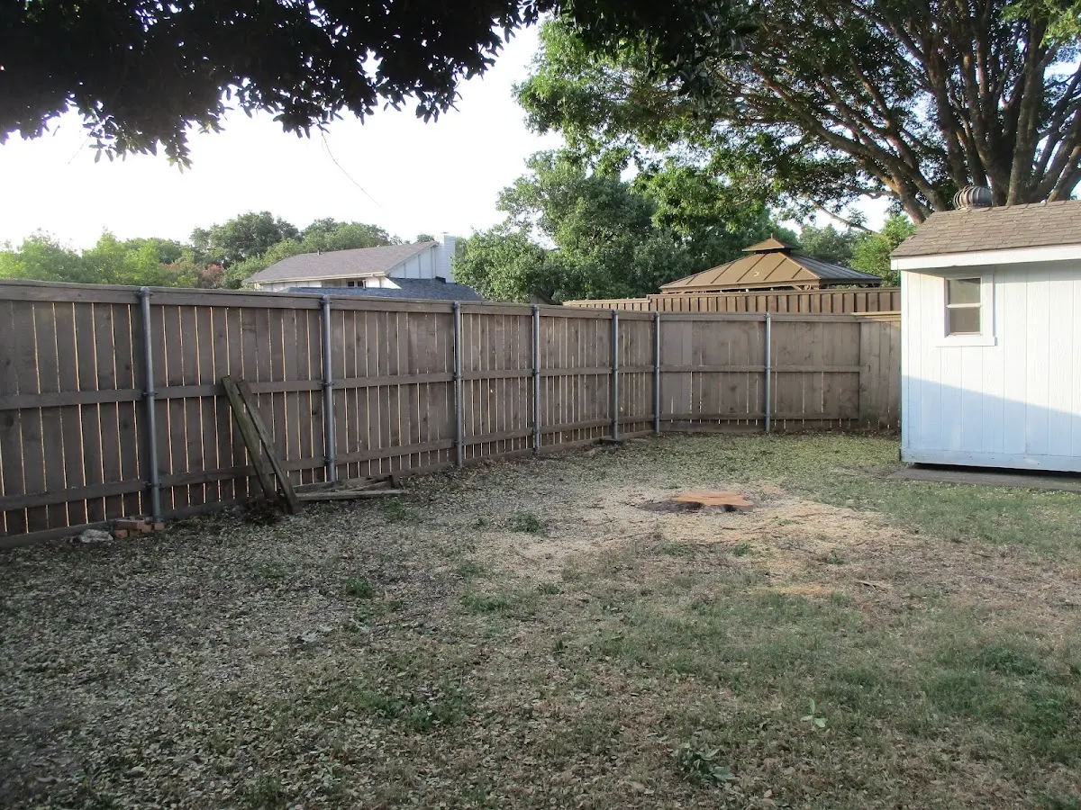 Cleared yard after professional tree removal in East Rockaway